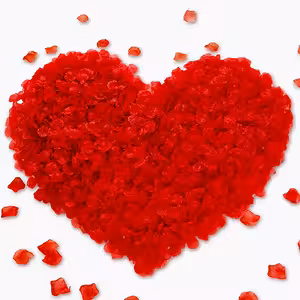 Punased kunstroosi kroonlehed – 500 tk romantiliseks dekoratsiooniks, pulmadeks ja sõbrapäevaks