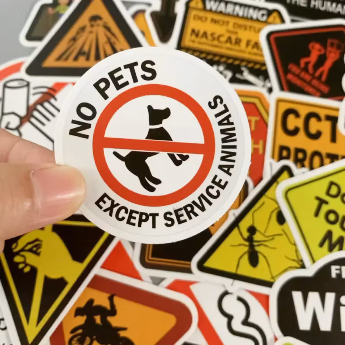 Isekleepuvad dekoratiivkleebised siledatele pindadele: sein, külmik, peegel